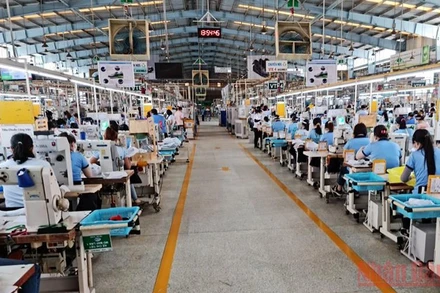 Sản xuất tại Công ty cổ phần Taekwang Vina.