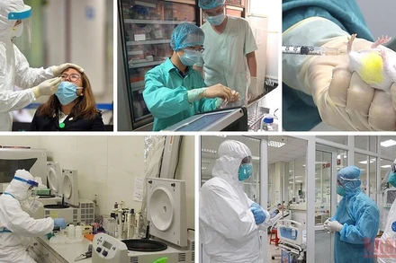 Việt Nam đã phân lập nuôi cấy được virus SARS-CoV-2, nghiên cứu vaccine Covid-19.