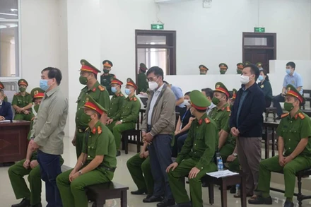 Các bị cáo trong vụ án.