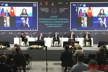 Việt Nam tham dự phiên toàn thể trong khuôn khổ Diễn đàn.