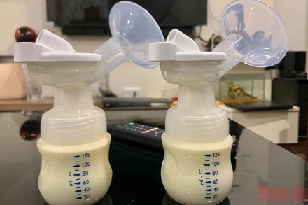 (Ảnh minh họa: ANH THƯ)