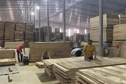 Hoạt động tại nhà máy chế biến gỗ của Công ty trách nhiệm hữu hạn Lechenwood tại Khu công nghiệp Thanh bình, huyện Chợ Mới, Bắc Kạn.