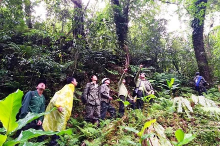 Tuần tra, bảo vệ rừng ở Khu bảo tồn thiên nhiên Bát Xát.