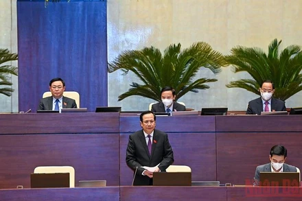 Bộ trưởng Lao động - Thương binh và Xã hội Đào Ngọc Dung trả lời chất vấn của đại biểu Quốc hội chiều 10/11. (Ảnh: LINH NGUYÊN)