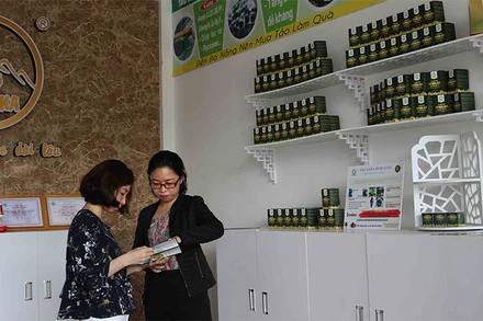 Tảo xoắn Spidana được công nhận là sản phẩm đặc trưng Đà Nẵng năm 2020.