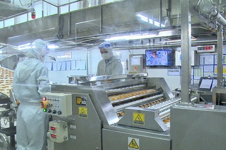 Sản xuất tại Công ty OrionVina ở Bình Dương. (Ảnh minh họa: Trịnh Bình).