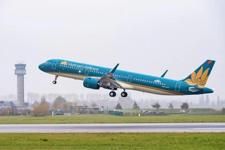 Máy bay của hãng Vietnam Airlines. (Ảnh: TTXVN)