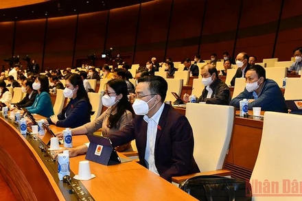 Đại biểu Quốc hội bấm nút biểu quyết thông qua Luật sửa đổi, bổ sung một số điều của Bộ luật Tố tụng hình sự chiều 12/11. (Ảnh: LINH NGUYÊN)