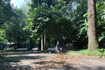 Thảo Cầm Viên Sài Gòn trước ngày mở cửa trở lại