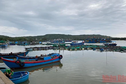 Nhiều hộ nuôi cá tự phát đặt lồng bè lấn chiếm, làm cho tàu thuyền khó khăn khi ra vào neo đậu tránh trú bão trên cửa Lễ Thịnh, xã An Ninh Đông, huyện Tuy An, Phú Yên. (Ảnh minh họa: TRÌNH KẾ)