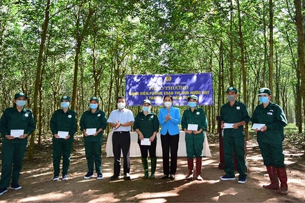 Lãnh đạo Công ty TNHH MTV Cao-su Dầu Tiếng trao thưởng công nhân khai thác vượt sản lượng quý III.