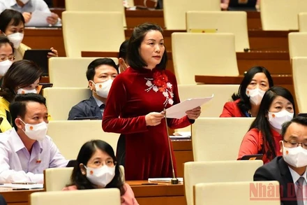 Đại biểu Nguyễn Minh Tâm (Quảng Bình) phát biểu tại phiên thảo luận. (Ảnh: LINH NGUYÊN)