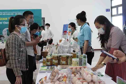 Đại biểu tham quan các gian hàng.