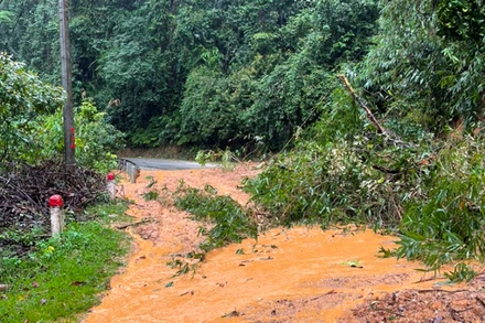 Điểm sạt lở trên Quốc lộ 40B tại xã Trà Giác đi lên trung tâm huyện.