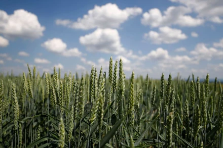 Ảnh minh họa. (Ảnh: Reuters)