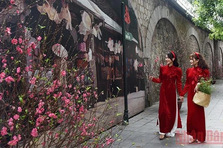 (Ảnh minh họa: TRẦN HẢI)