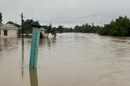 Lũ lớn trên sông Trà Câu, thị xã Đức Phổ (Quảng Ngãi).