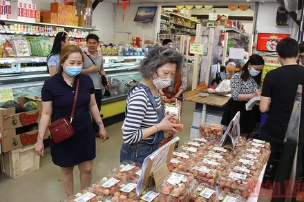 Xuất khẩu nông sản Việt Nam sang Pháp, trong đó có vải thiều, đã có những bước đột phá ấn tượng.