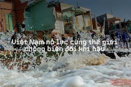 Việt Nam nỗ lực cùng thế giới chống biến đổi khí hậu