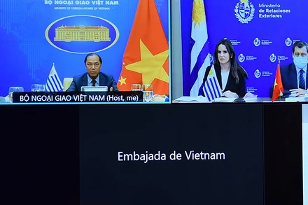 Thứ trưởng Ngoại giao Nguyễn Quốc Dũng phát biểu tại phiên tham khảo chính trị. Ảnh Bộ Ngoại giao.