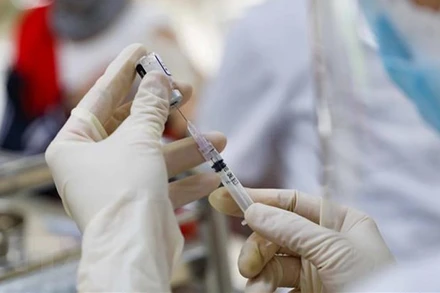 Ảnh minh họa. (Thanh Tùng/TTXVN)