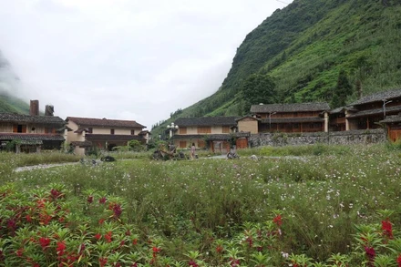 Làng văn hóa du lịch thôn Pả Vi Hạ, xã Pả Vi, huyện Mèo Vạc xây dựng theo mô hình kiểu mẫu.