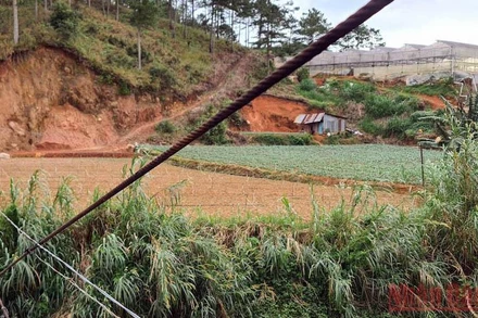 Khu vực xảy ra vụ việc.