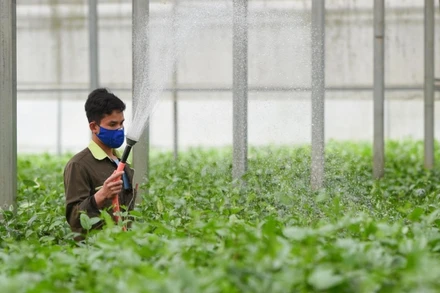 Để bảo đảm được mục tiêu phát triển bền vững, việc chuyển đổi sang mô hình tăng trưởng nông nghiệp mới trở thành một yêu cầu cấp bách và cần thiết.