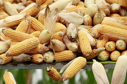 Ảnh minh họa. (Ảnh: Reuters).