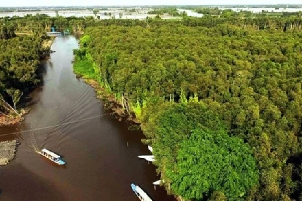 (Ảnh minh họa: AN HIẾU)