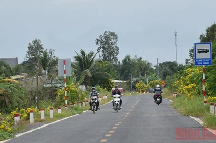 Tuyến lộ nông thôn được trồng hoa 2 bên đường ở xã Mỹ Đông.