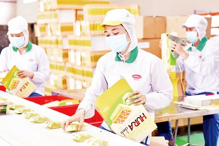 Công nhân Công ty cổ phần Bibica đóng gói sản phẩm phục vụ hàng Tết (Ảnh minh họa: Phương Vy).