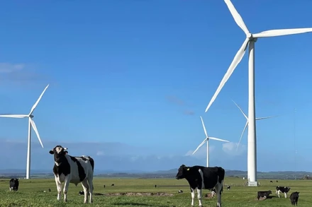 Quá trình khử carbon nhanh chóng hệ thống điện đóng vai trò quan trọng cho sự thành công của quá trình chuyển đổi năng lượng sạch. (Ảnh: ABC)