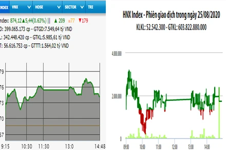 Diễn biến VN-Index và HNX-Index, phiên giao dịch ngày 25-8. 