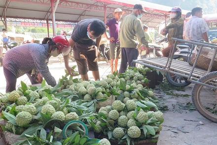 Chợ na Đồng Bành, thị trấn Chi Lăng, luôn tấp nập người mua, kẻ bán.