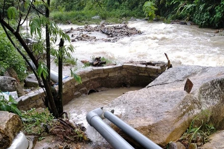 Bể nuôi cá tầm, nơi ông Khâm đến sửa đường ống nước.