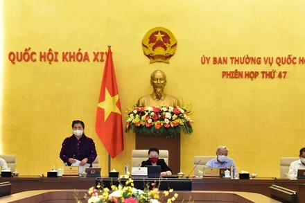 Phó Chủ tịch Thường trực Quốc hội Tòng Thị Phóng điều hành phiên họp sáng 11-8. (Ảnh: QUANG KHÁNH)