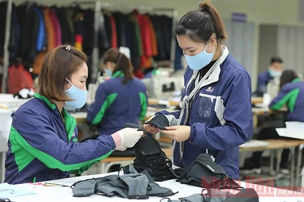 Ảnh minh họa: Duy Linh.