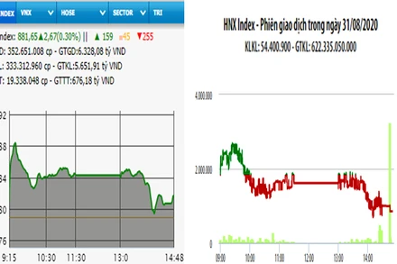 Diễn biến VN-Index và HNX-Index, phiên giao dịch ngày 31-8. 