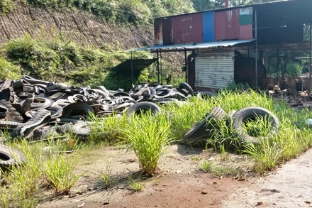 Công ty Hải Bình thu gom, tập kết lượng lớn lốp ô-tô tại xưởng tái chế.