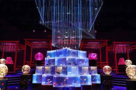 Huyền bí sắc màu Art Aquarium ở thủ đô Tokyo