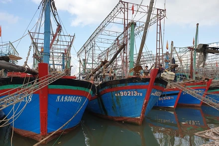 Các tàu đánh cá được hỗ trợ lắp đặt thiết bị giám sát hành trình, có điều kiện vươn khơi, bám biển dài ngày cho hiệu quả kinh tế cao.    