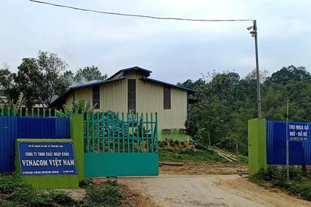 Hiện tại, công ty đã tạm ngừng hoạt động nhà xưởng xây dựng trái phép.