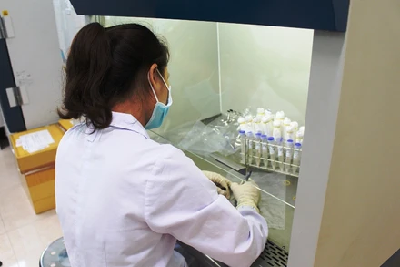 Nhân viên CDC đang đánh dấu, ghi tên mẫu xét nghiệm.