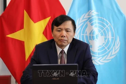 Đại sứ Đặng Đình Quý, Trưởng Phái đoàn thường trực Việt Nam tại Liên hợp quốc. (Ảnh: TTXVN)