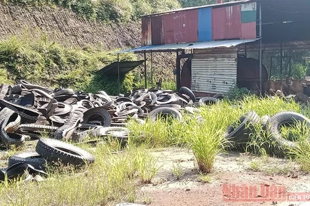 Xưởng sản xuất dầu DO được xây dựng trên hàng nghìn m2 đất lâm nghiệp