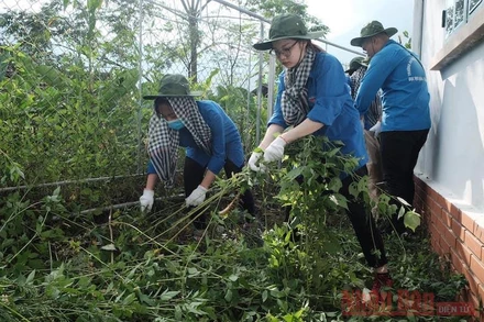 Sinh viên tình nguyện Trường đại học Luật Hà Nội phát quang, dọn cỏ ở trạm xá và dọc đường khu vực thôn La Ve, xã Bản Hồ, Sa Pa.