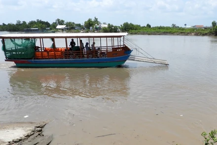 Phà của ông Út đưa sai vị trí, bất chấp quy định của pháp luật nhưng chưa được ngăn chặn. 