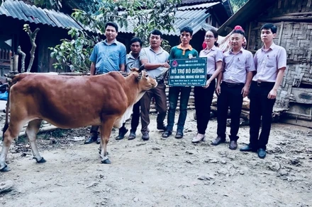 Ngân hàng chính sách xã hội huyện trao tặng bò giống cho hộ nghèo của xã Hữu Kiệm.