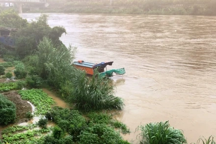 Lũ lớn trên thượng nguồn sông Hồng, đoạn chảy qua thành phố Lào Cai.
